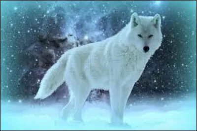 Qui suis-je, en version Pokémon ?