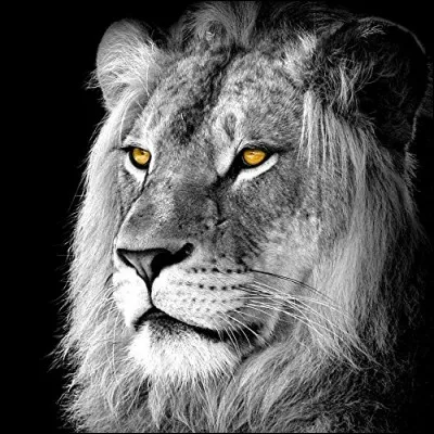 Selon un slogan publicitaire, quelle chose va vous servir pour rugir de plaisir ?