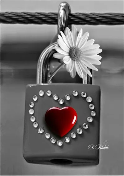 Selon un vieux proverbe, où n'y a-t-il pas de plaisir ?