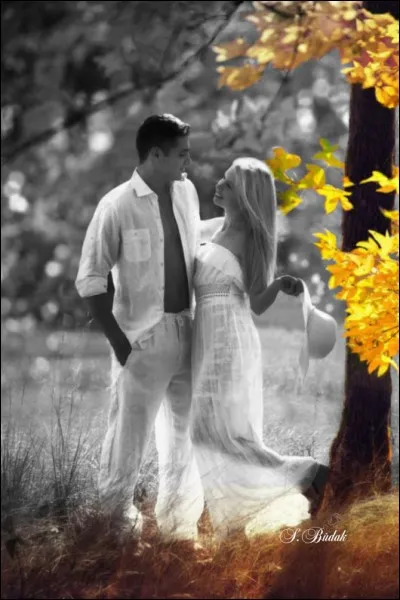 Dans la célèbre chanson,"Plaisir d'amour ne dure...."