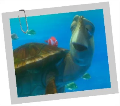 Quel âge a Crush, le père de Squiz dans " Le Monde de Nemo" ?