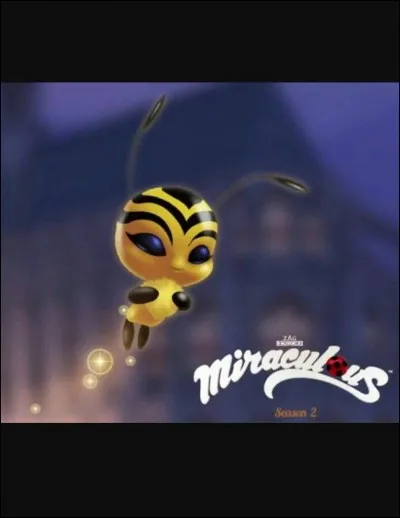 De qui Marinette est-elle amoureuse ?