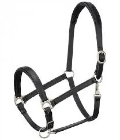 Cochez une partie du licol :