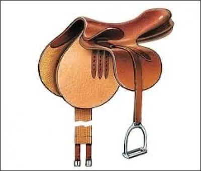 Cochez la proposition qui fait partie de la selle :