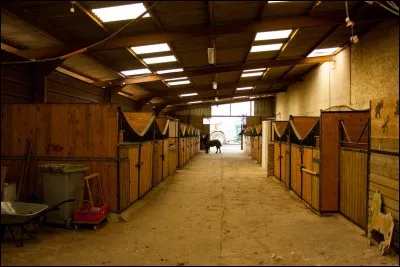 Quel lieu voudrais-tu habiter ?