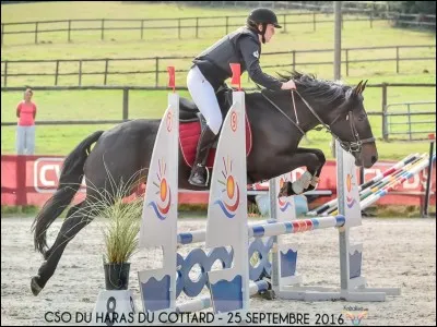 Quelle discipline préfères-tu ?