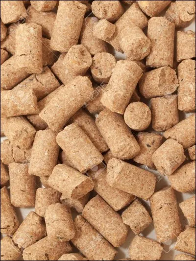 Quelle nourriture aimes-tu ?