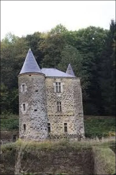 Je vous propose de partir dans le Grand-Est à la découverte du château de Rocan, à Chéhéry. Ancienne commune de l'arrondissement de Sedan, elle se situe dans le département ...