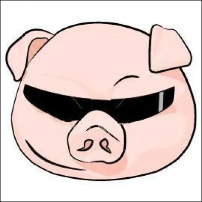 Comment "porc/cochon" se dit-il ?