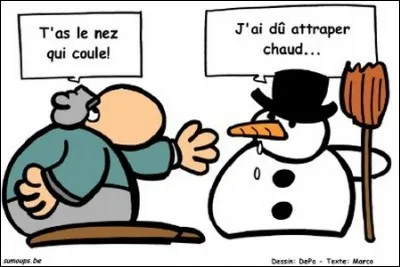 Combien existe-t-il de types de nez ?