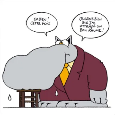 Dans une uvre littéraire, le nez de qui est décrit par les mots « c'est un roc ! ... c'est un pic... c'est un cap ! Que dis-je, c'est un cap ? ... c'est une péninsule ! » ?