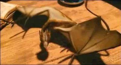 De quelle espce est Norbert, le dragon de Hagrid ?