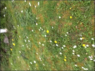 Pr&eacute;f&egrave;res-tu les vacances ou le travail ?