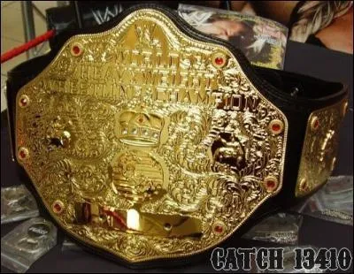 Quel est cette ceinture?