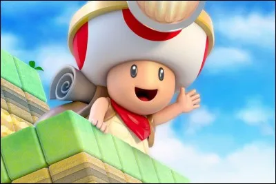 Quel est ce personnage du monde de Mario ?