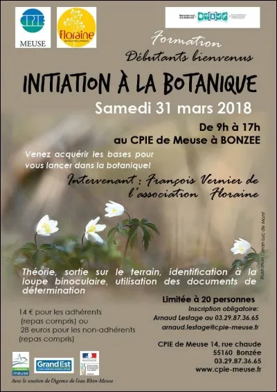 Le stigmate d'une fleur concerne ...