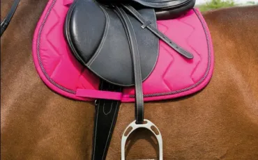 Quiz Galop 2
