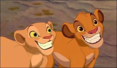 Comment s'appelle le phacochre