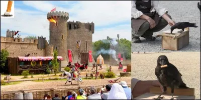 Animaux et écologie !
Jean de la Fontaine serait très étonné de l'importance qu'a donnée un fauconnier du « Puy du fou » à un héros de ses fables ! En plus, il serait étonné de l'importance que l'on donne à son intelligence !
Que se passe-t-il avec ce fauconnier du « Puy du fou » ?