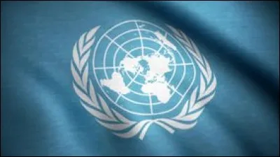 Georges Pompidou fut le premier président français à s'exprimer devant l'Assemblée générale de l'ONU.