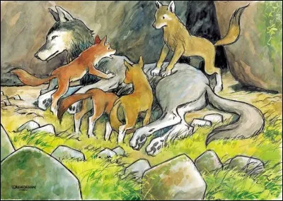 À qui doit-on l'album intitulé "La Louve" ?