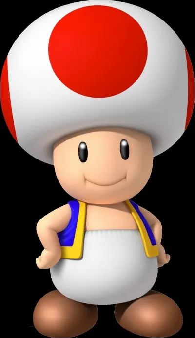 Toad est un PNJ dans Mario et Luigi utile ou inutile ?