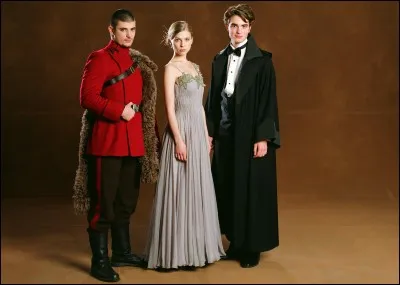 À quelle maison appartient Cedric Diggory ?