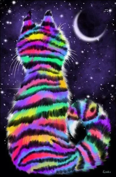 Qui chantait "T'es comme un soleil qui brille dans mes nuits" ?