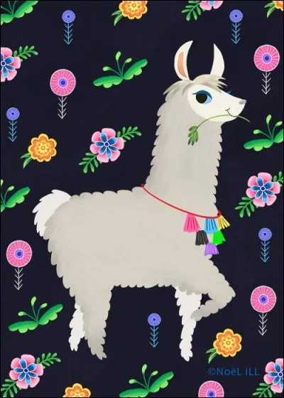 À quelle famille appartient le guanaco ?