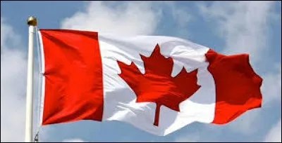 La feuille sur le drapeau du Canada est une feuille de chêne.