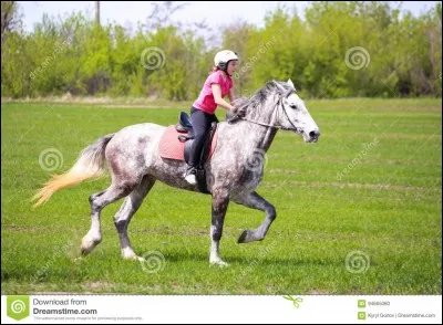 Que porte-t-on sur la tête quand on monte ?
