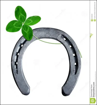 À quels animaux mettons-nous des fers ?