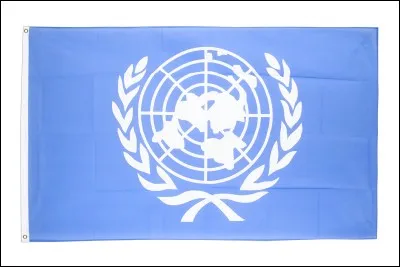 Ce drapeau appartient à quelle organisation ?