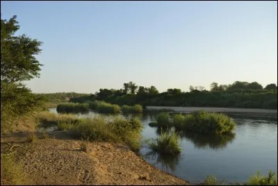 Quel pays borde l'Afrique du Sud et la Tanzanie ?