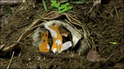 Comment appelle-t-on un endroit, dans la nature, où une plante ou un animal vit généralement ?