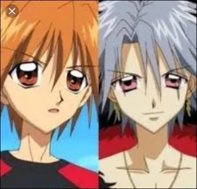 Qui a séparé Kaito et Gaito ?