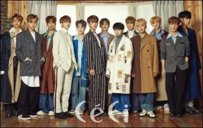 De quelle agence ce groupe fait-il partie ?
(Seventeen)