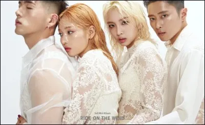 De quelle agence ce groupe fait-il partie ?
(KARD)