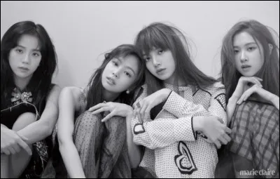 De quelle agence ce groupe fait-il partie ?
(BlackPink)