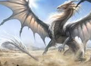 Quiz Un quiz sur les dragons