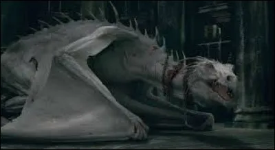 Dans le film "Harry Potter et les Reliques de la mort, part 1", dans quel endroit se trouve Harry Potter et ses amis Ron et Hermione lorsqu'ils affrontent un dragon ?