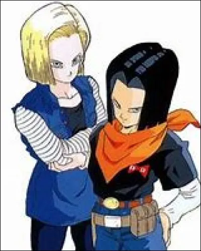 À l'origine, que sont C-17 et C-18 ?