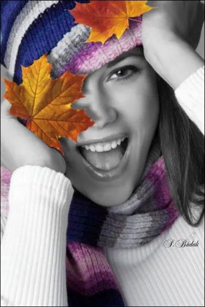 Il chantait "Elle a les yeux couleurs d'automne, et je la regarde, elle ne répond jamais au téléphone..." :