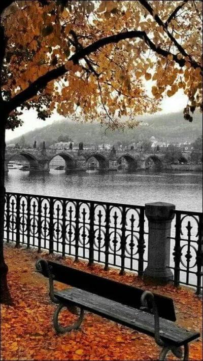 Ses paroles étaient "Le printemps s'est enfui depuis longtemps déjà, craquent les feuilles mortes, brûlent les feux de bois, à voir Paris si beau dans cette fin d'automne..." :