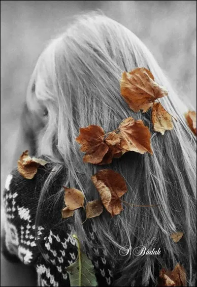 Qui chantait "D'hiver en automne, ni fièvre ni froid, elle met du vieux pain sur son balcon" ?