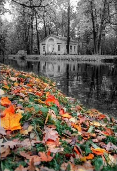 Qui interprétait les paroles " Les feuilles mortes se ramassent à la pelle, les souvenirs et les regrets aussi" ?