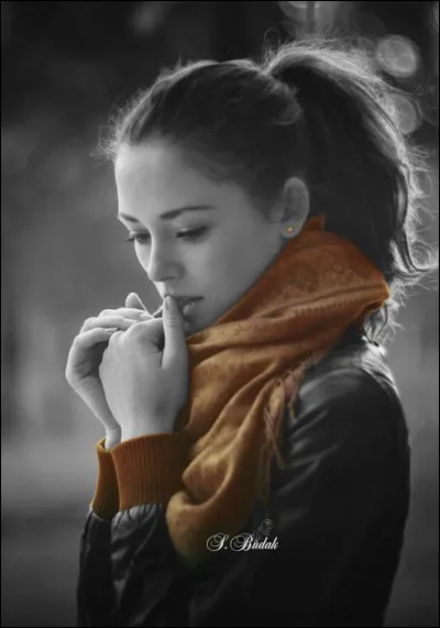 Qui chantait "Le vent du Nord qui s'amoncelle s'amuse seul dans mes cheveux, je n'étais pas toujours bien belle, mais je crois qu'il m'aimait un peu" dans la chanson "ballade en novembre" ?