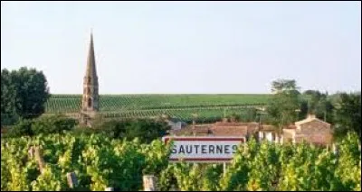 À Sauternes (Gironde), les habitants se nomment les ...
