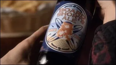 Qui est réellement le surfeur de la plage dont le journal d'Alison parle ?