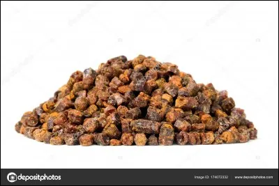 Quel aliment préfères-tu ?